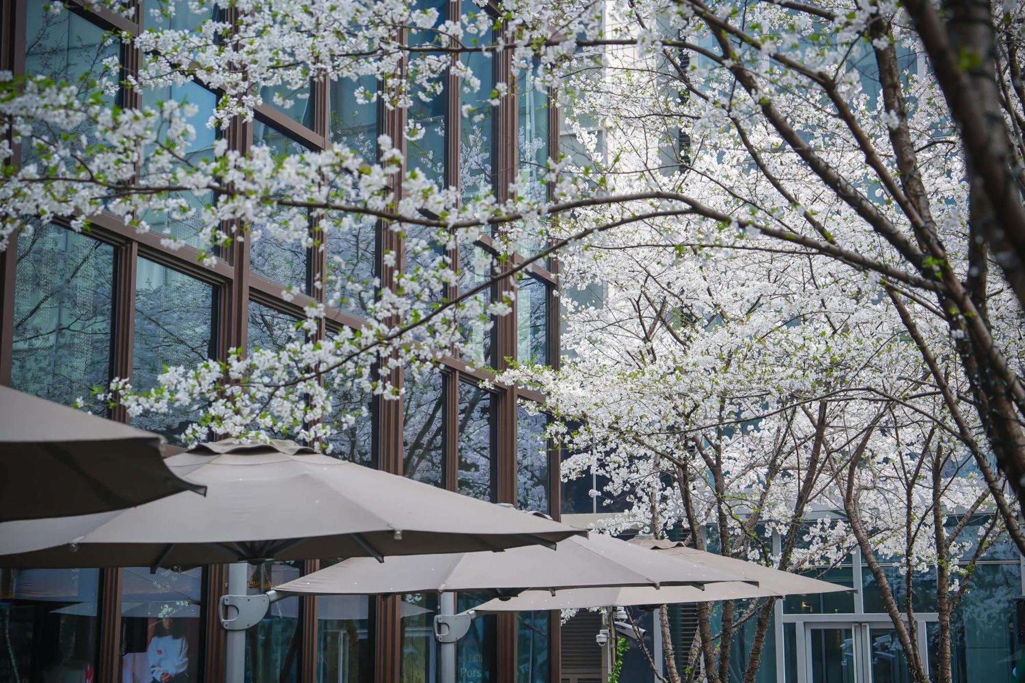 Midtown Shangri-La, Hangzhou - Around 5 Minutes Walking Distance To West Lake Bagian luar foto